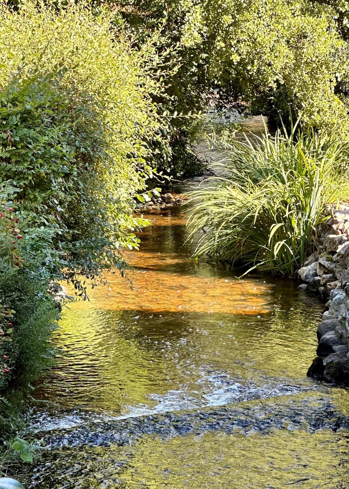 Gite Du Moulin Toucan Berneuil  Eksteriør bilde